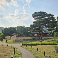 Uploaded Image